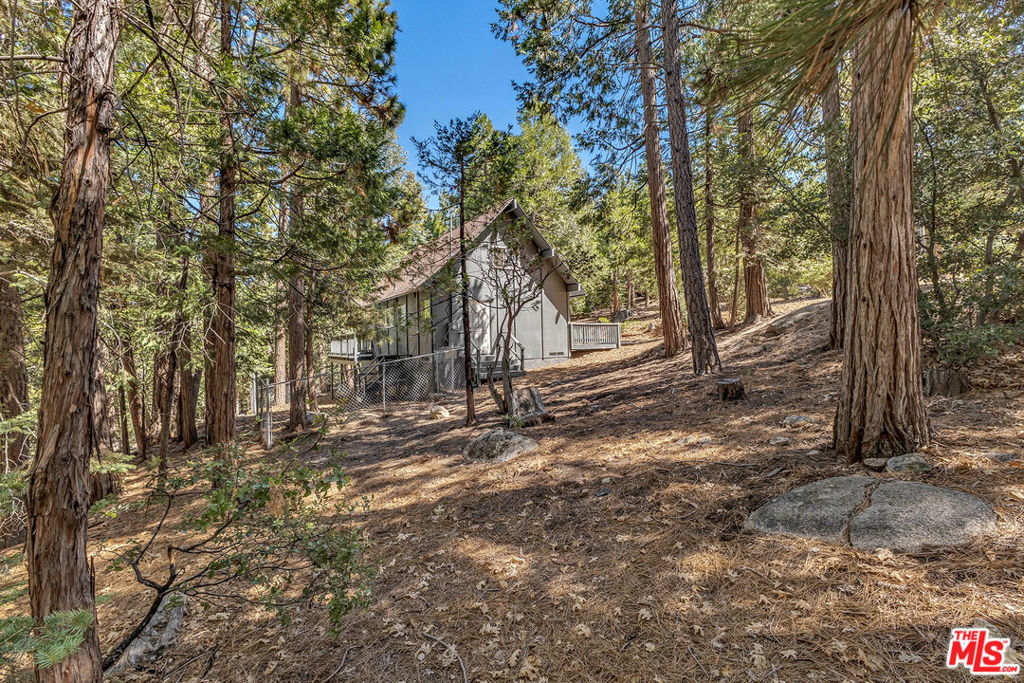 25167 Banning Idyllwild Road Property Photo 43