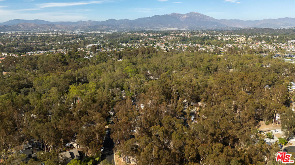 24946 Ravenswood Property Photo 4