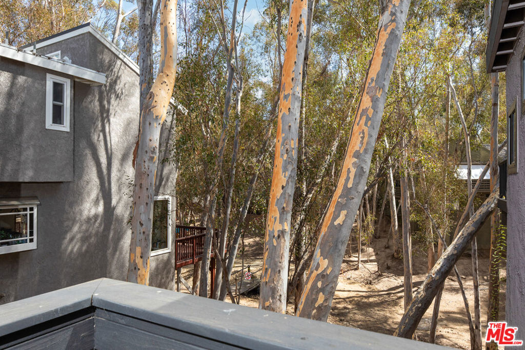 24946 Ravenswood Property Photo 26