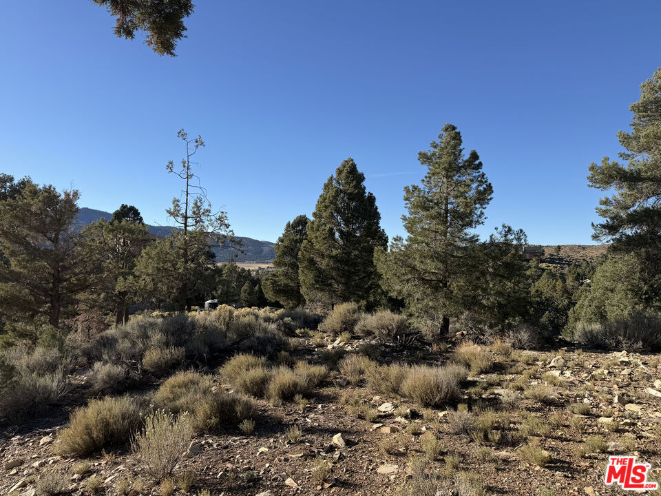 46280 Boron Lane Property Photo 1