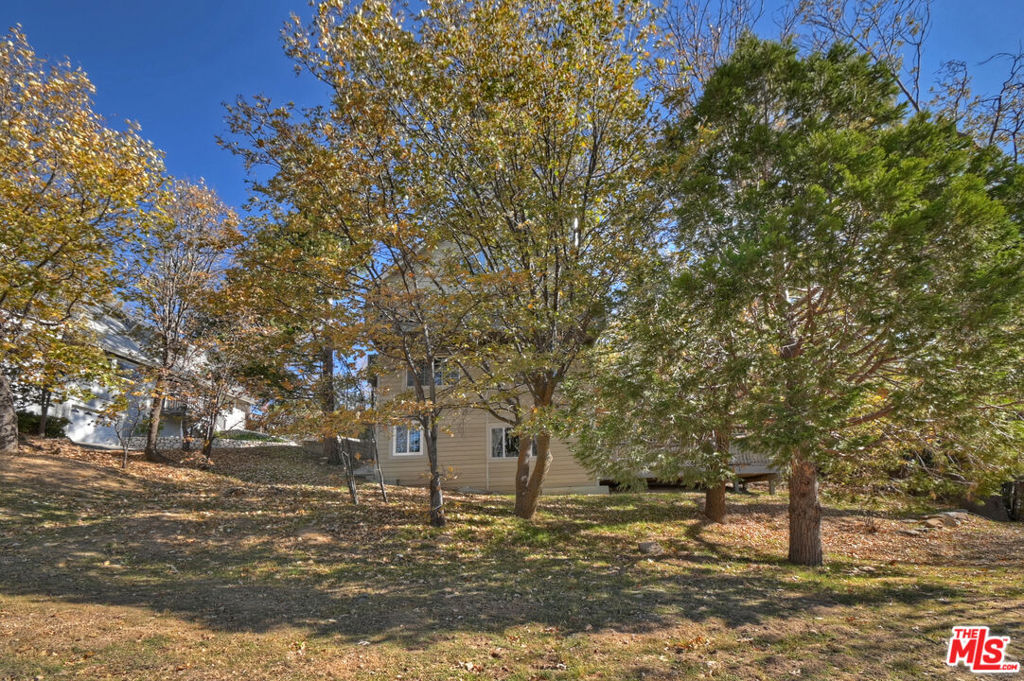 28665 Zion Drive Property Photo 33