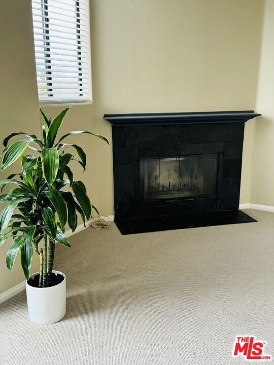 1749 12th Street B Property Photo 33
