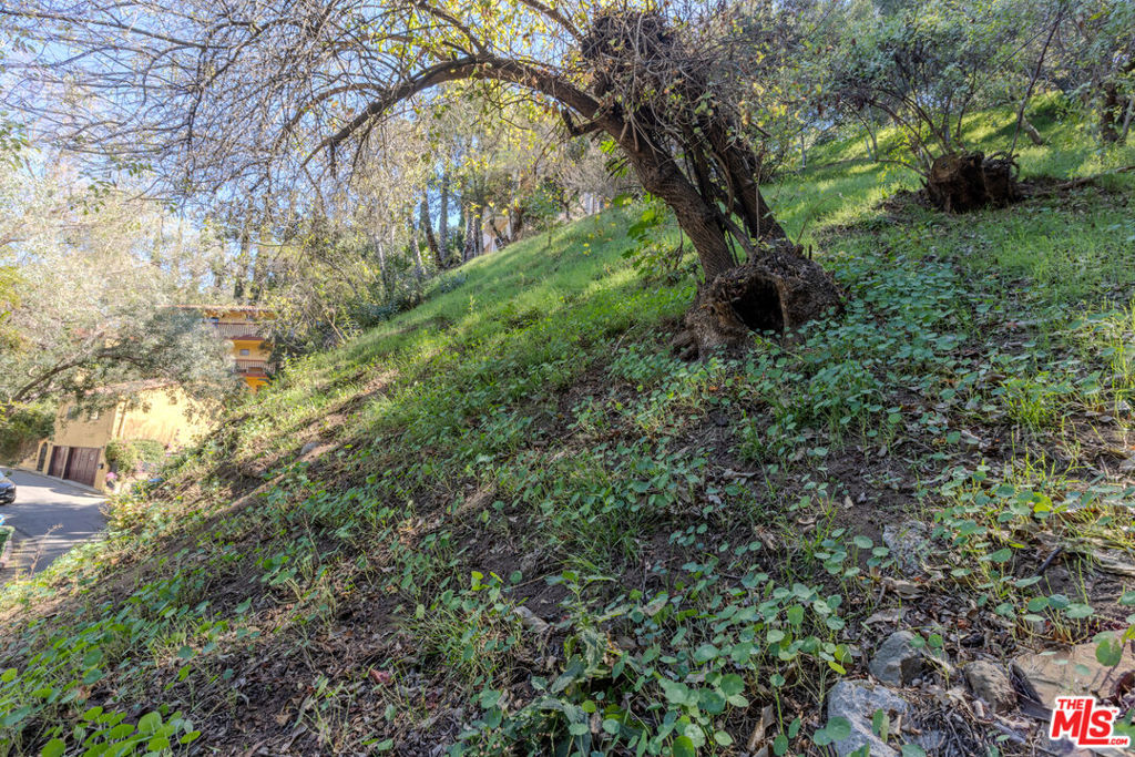 3047 Passmore Drive Property Photo 12