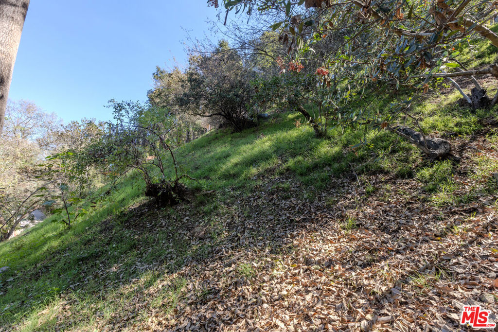 3047 Passmore Drive Property Photo 18