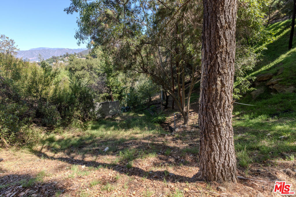3047 Passmore Drive Property Photo 33