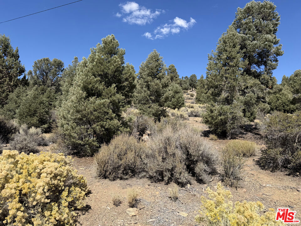 0 Falling Springs Road Property Photo 1