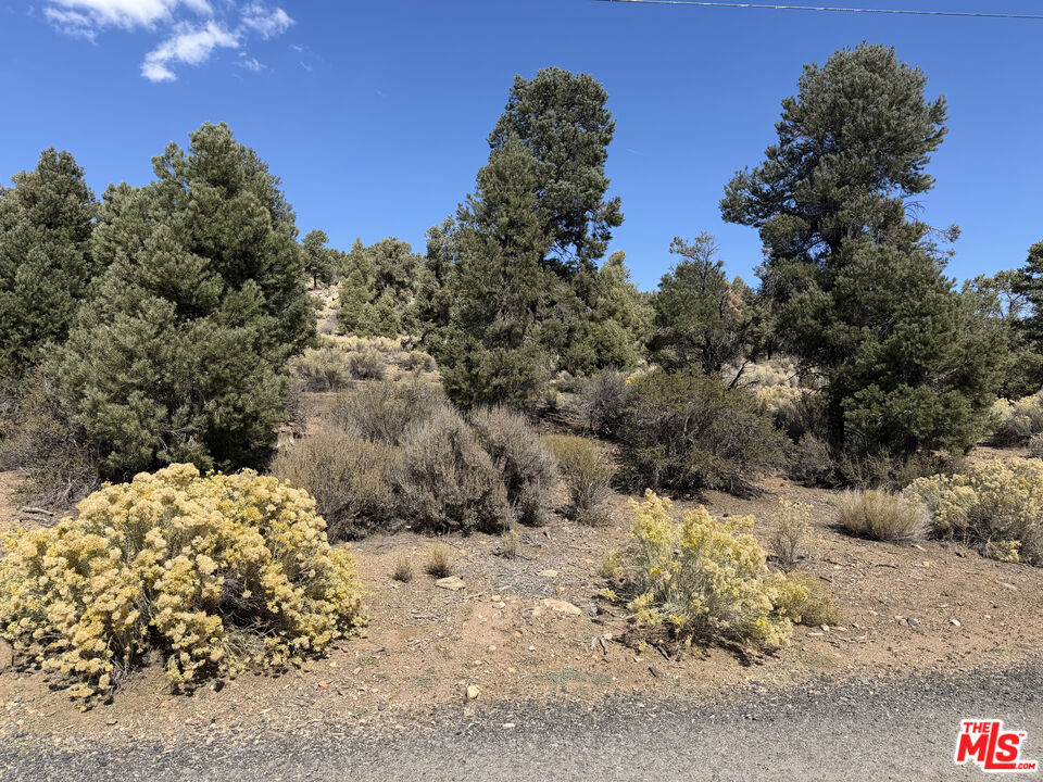 0 Falling Springs Road Property Photo 2