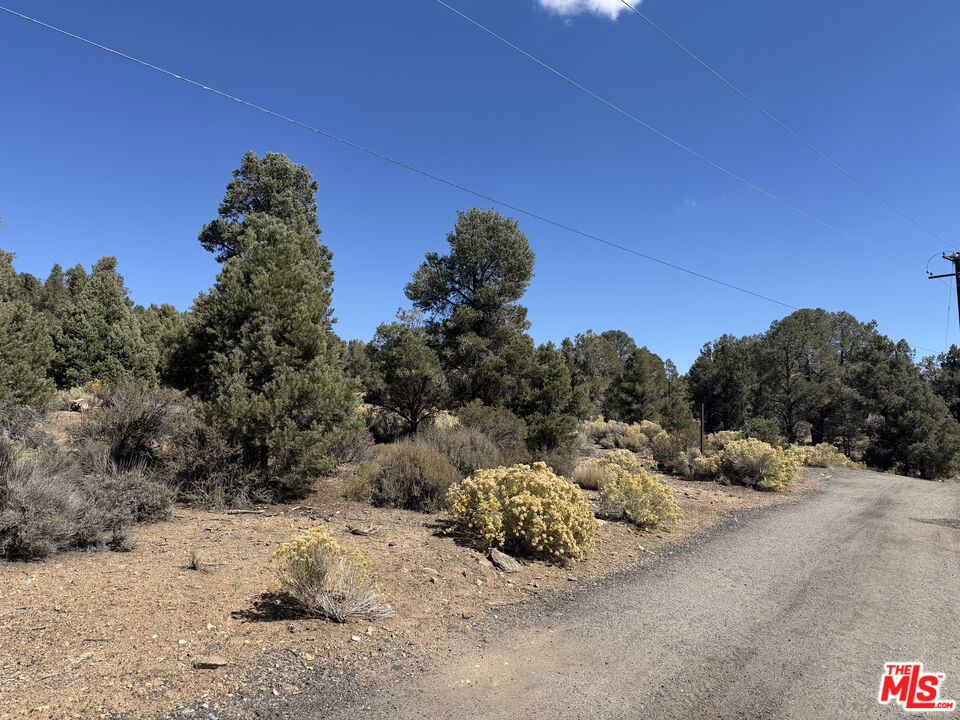 0 Falling Springs Road Property Photo 3