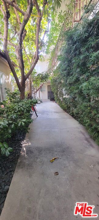 305 Broadway Street 4 Property Photo 44