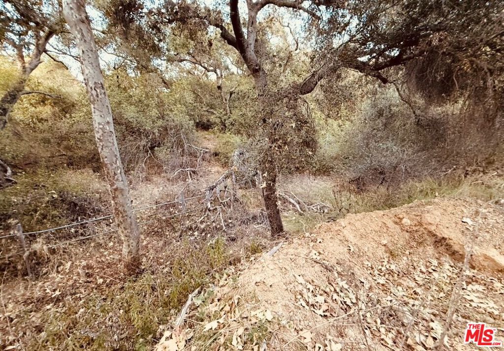 0 Hillside Drive Property Photo 17