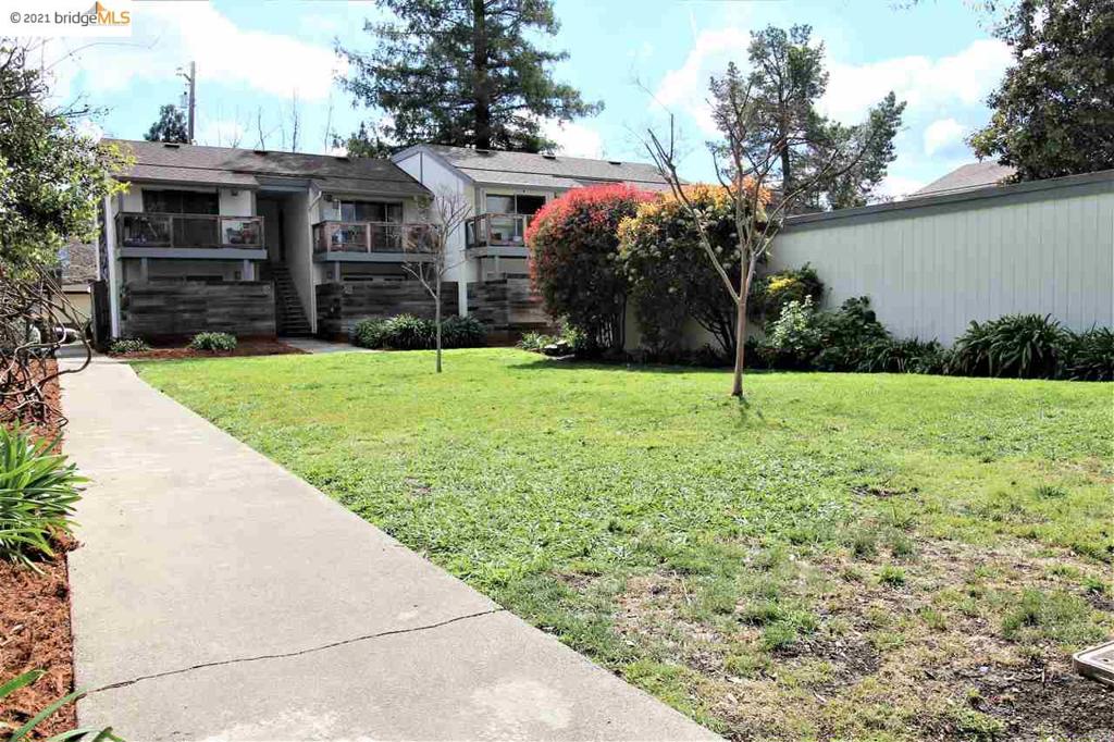 4081 Clayton Rd 338 Property Photo 29