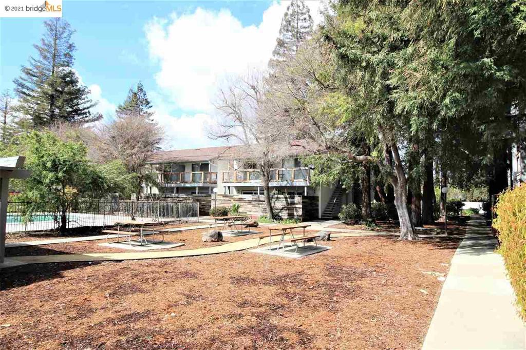 4081 Clayton Rd 338 Property Photo 31