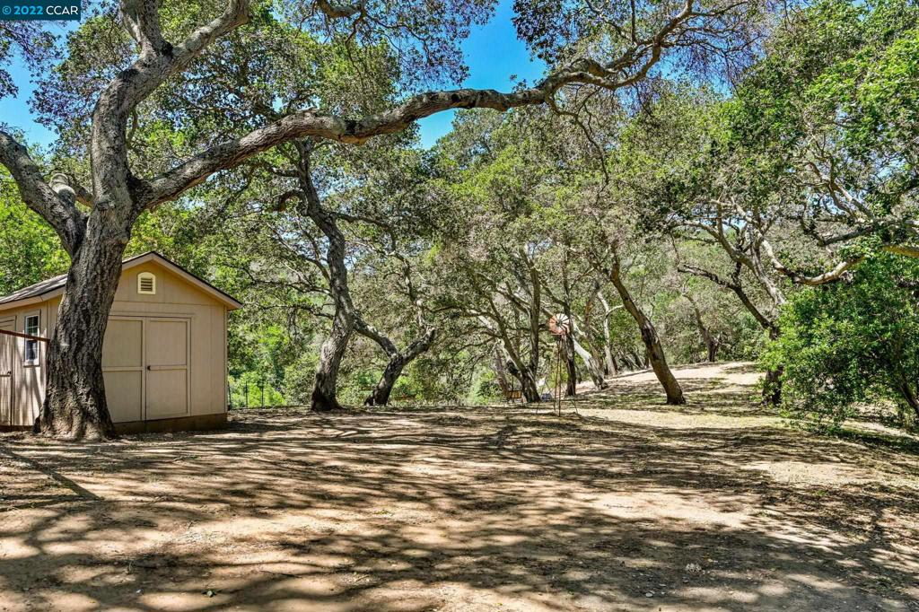 5433 Alhambra Valley Rd Property Photo 44