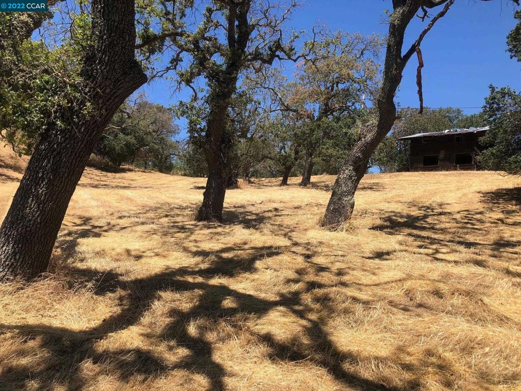 5433 Alhambra Valley Rd Property Photo 59