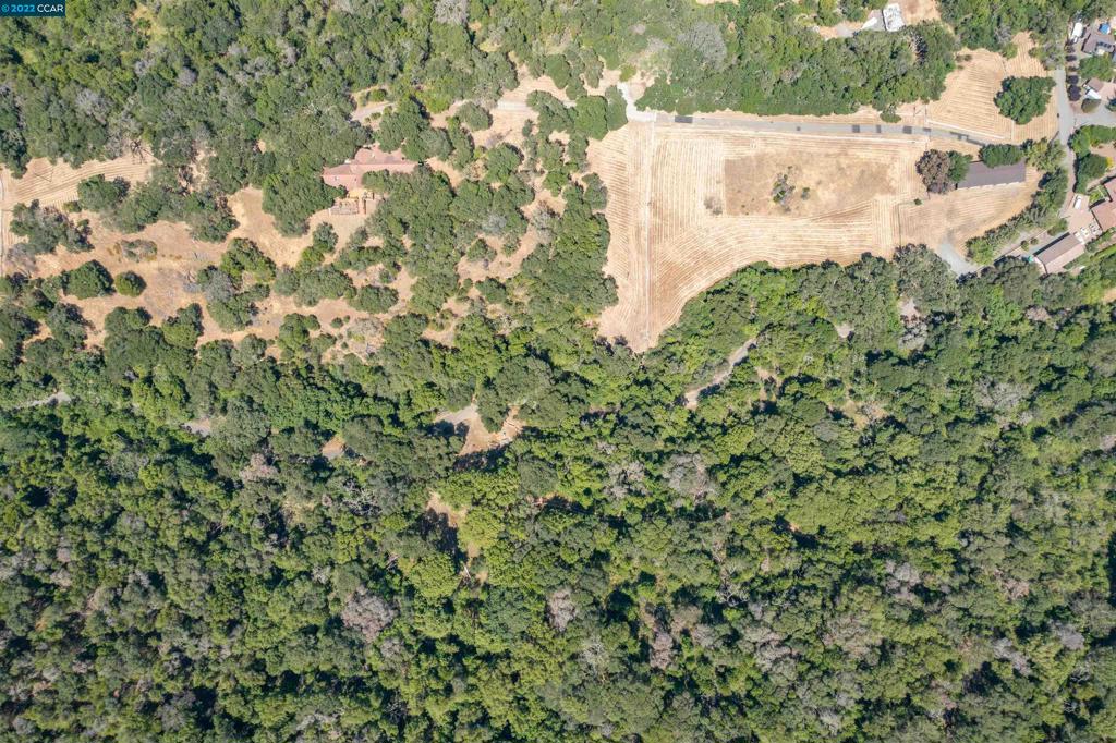 5433 Alhambra Valley Rd Property Photo 60