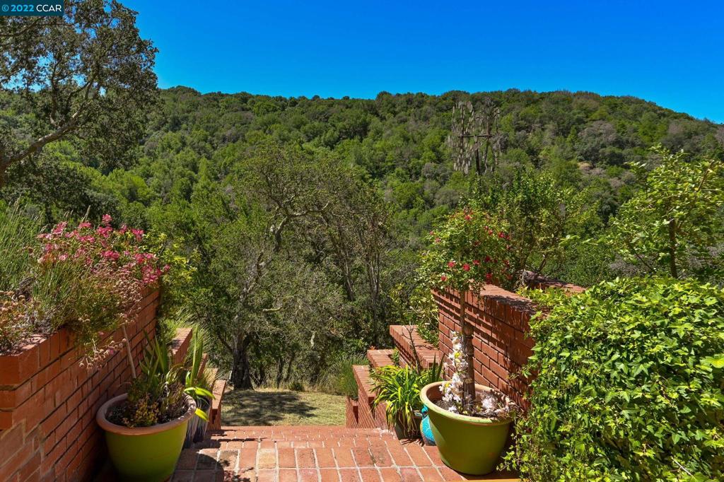 5433 Alhambra Valley Rd Property Photo 39
