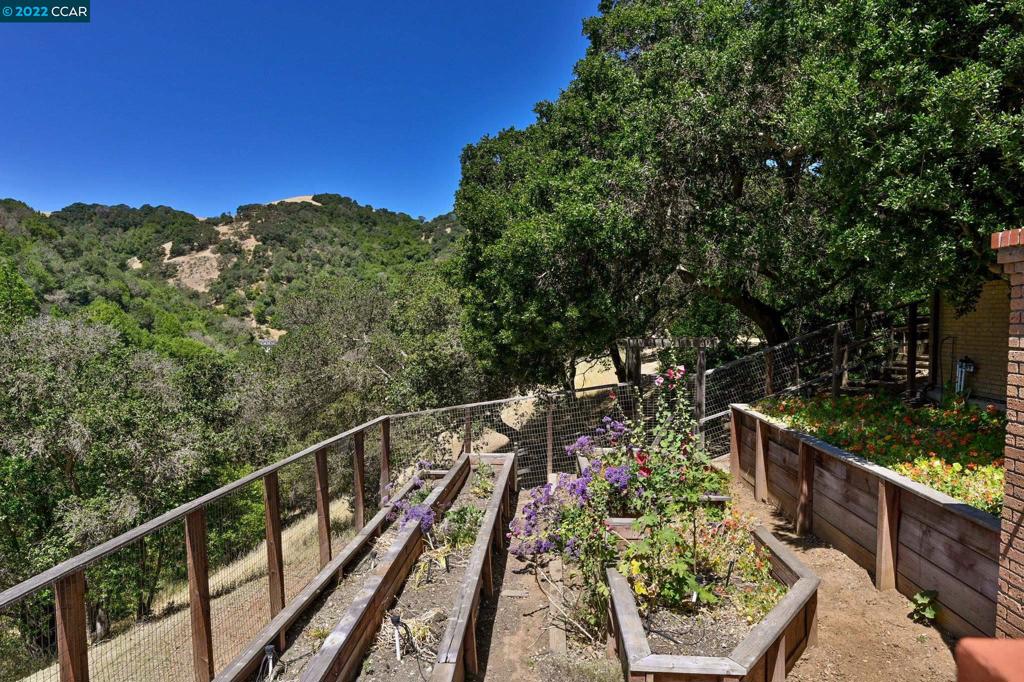 5433 Alhambra Valley Rd Property Photo 42