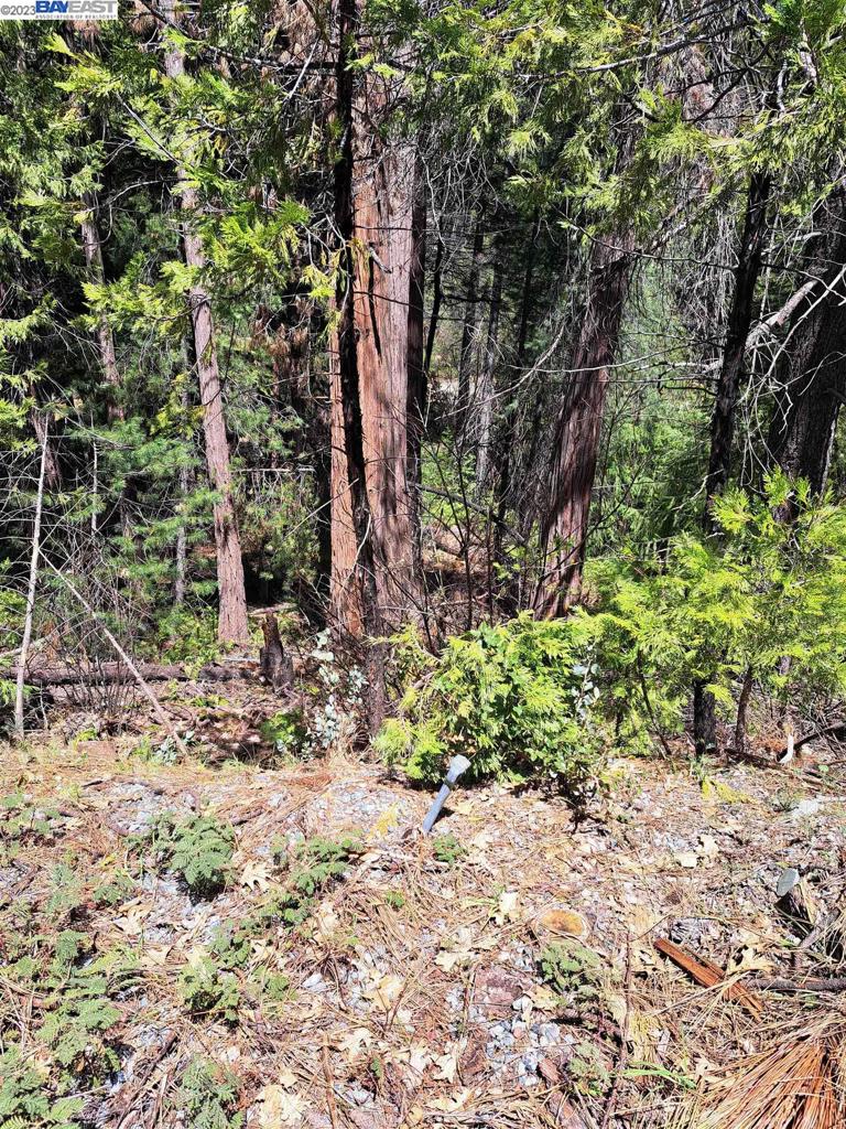 41024883 Property Photo 2
