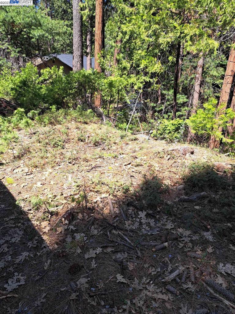 41024883 Property Photo 5