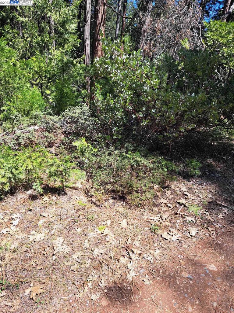 41024883 Property Photo 6