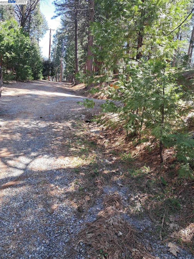 41024883 Property Photo 7