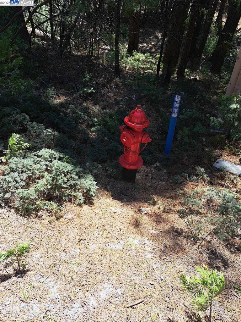 41024883 Property Photo 9