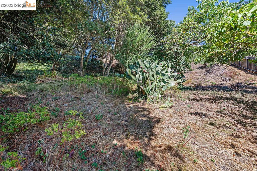 614 Cragmont Ave Property Photo 8