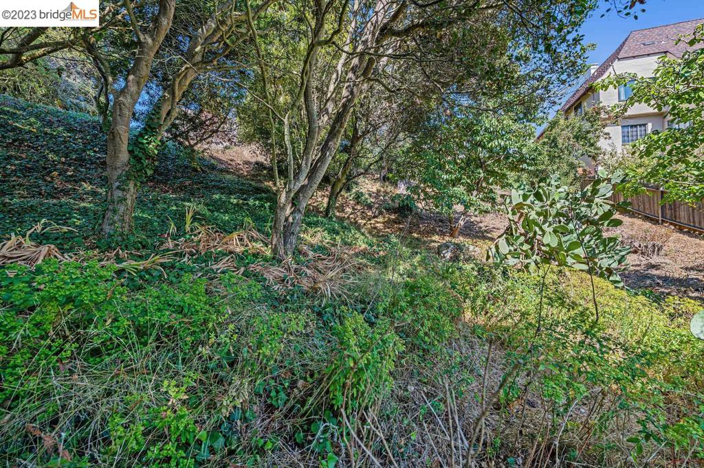 614 Cragmont Ave Property Photo 9