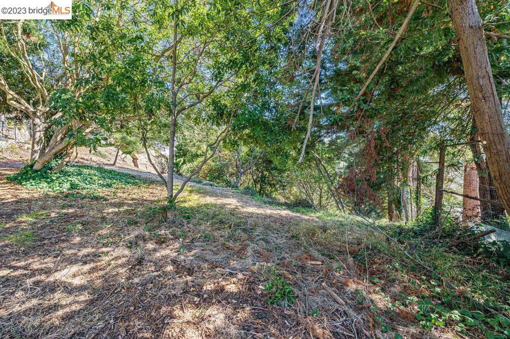 614 Cragmont Ave Property Photo 10