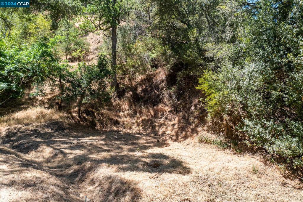 12063 Glenora Way Property Photo 4