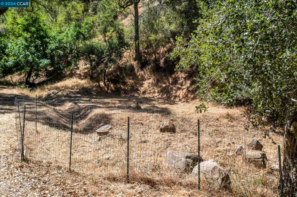 12063 Glenora Way Property Photo 5