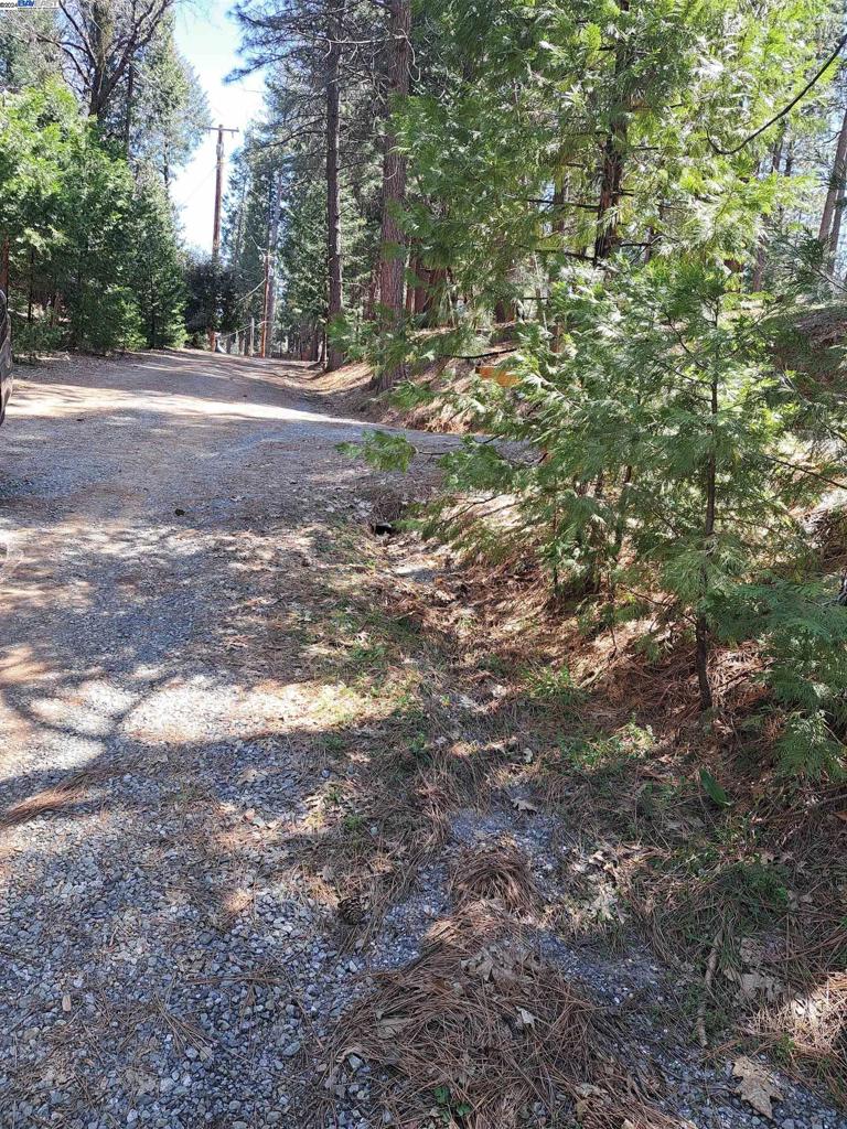 Sly Park Property Photo 7