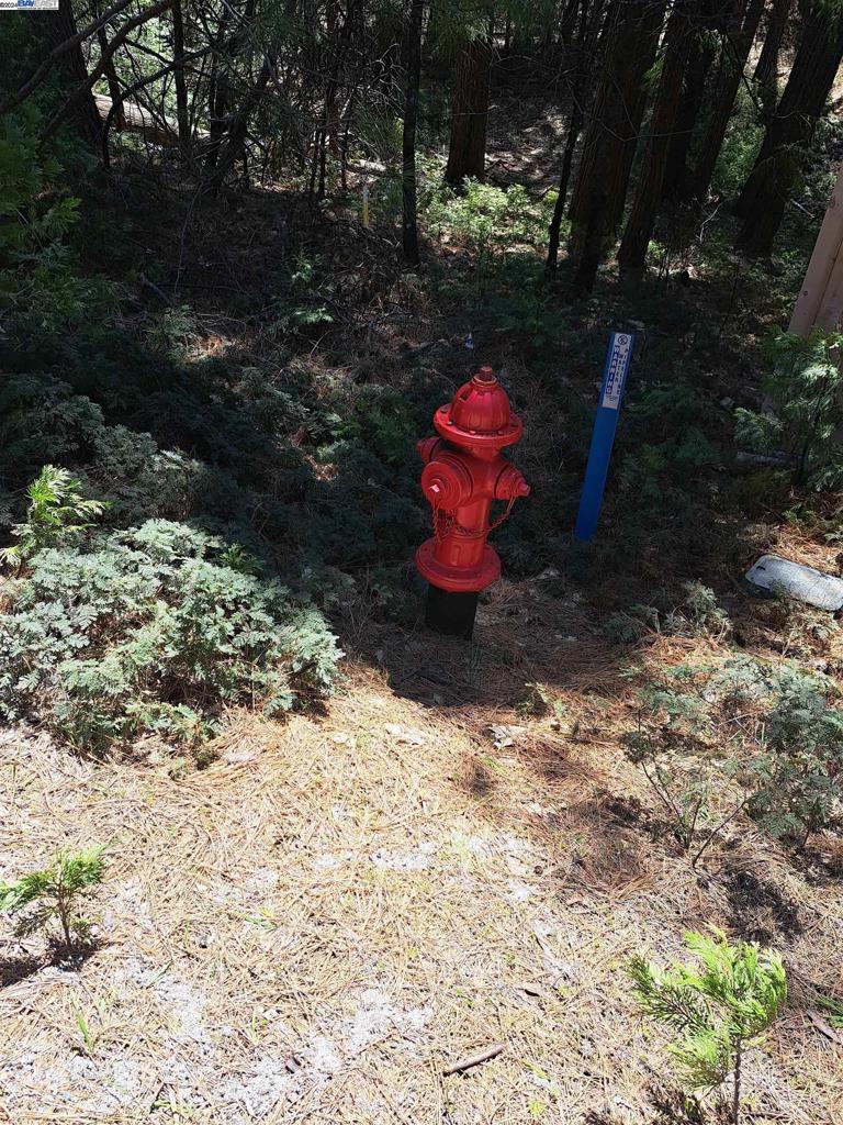 Sly Park Property Photo 9