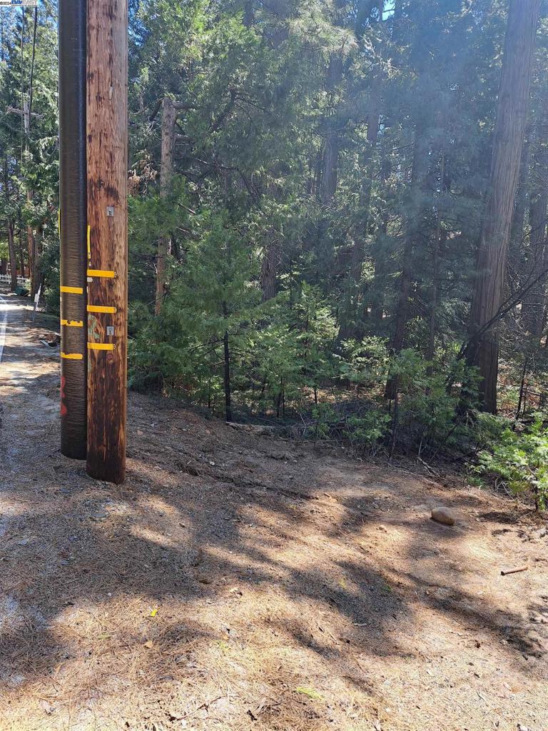 Sly Park Property Photo 12