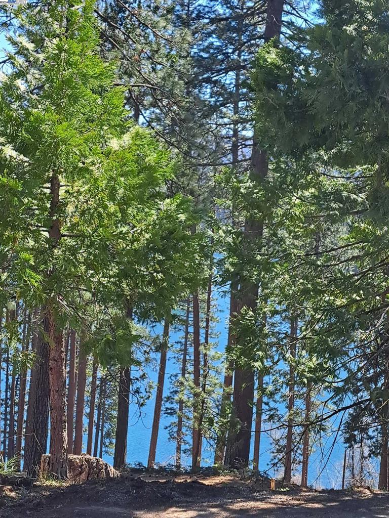Sly Park Property Photo 16