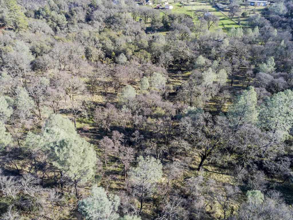 14011 Neptune Ln Property Photo 15
