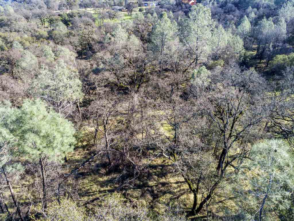 14011 Neptune Ln Property Photo 16