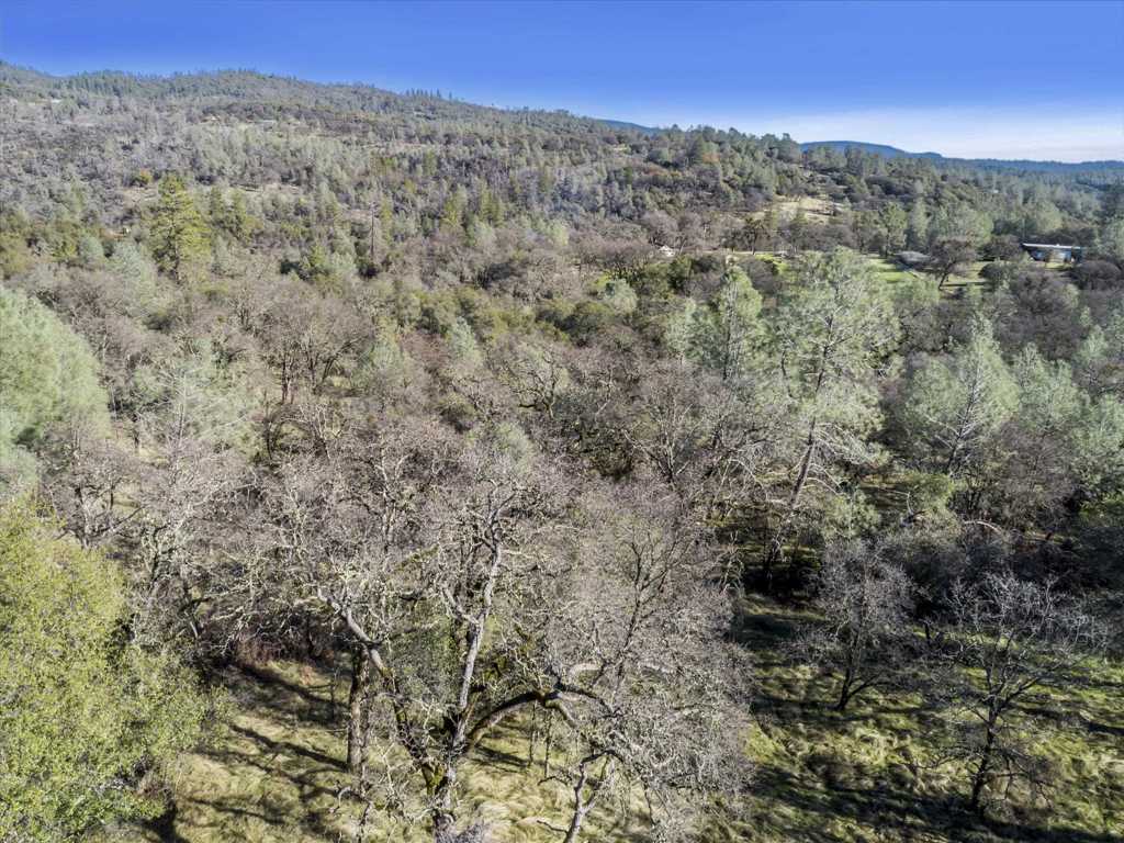14011 Neptune Ln Property Photo 17