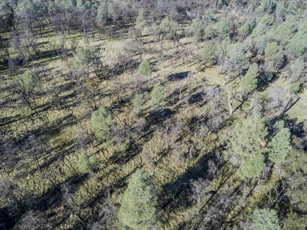14011 Neptune Ln Property Photo 20