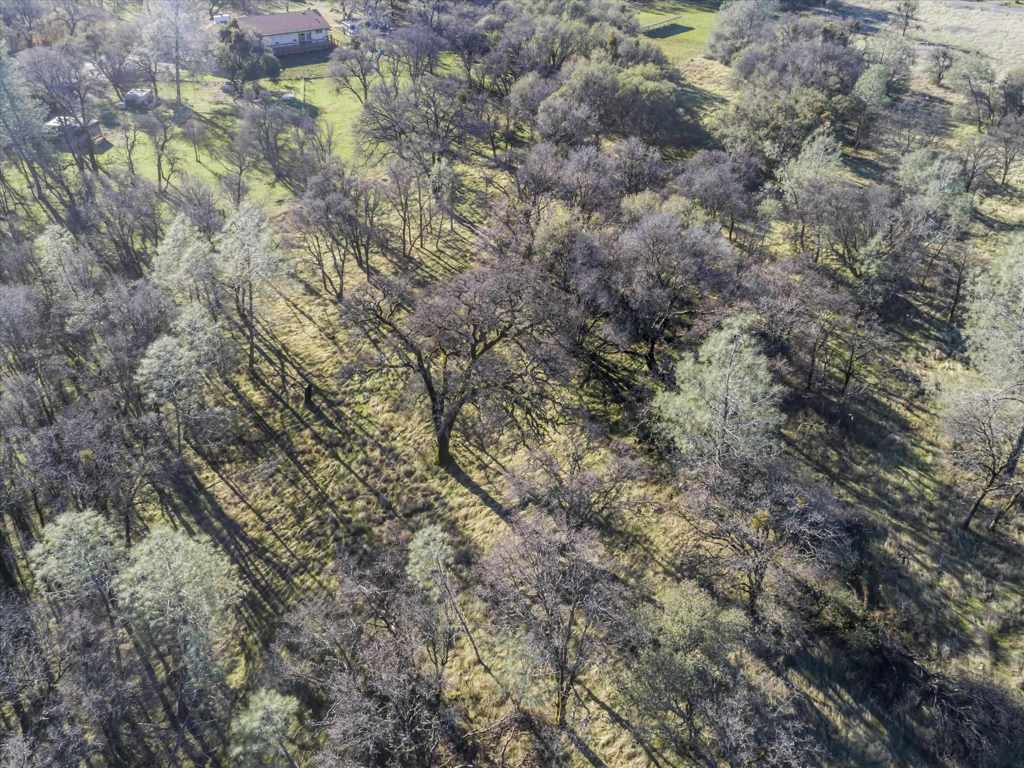 14011 Neptune Ln Property Photo 21