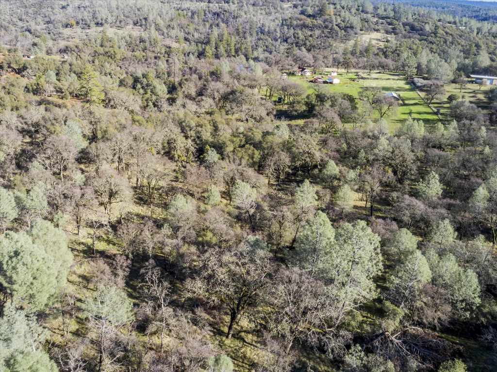 14011 Neptune Ln Property Photo 22