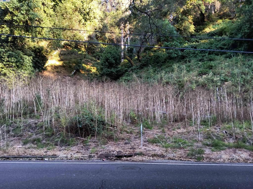 6340 Shepherd Canyon Rd Property Photo