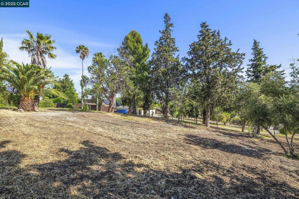 1051 Tilley Cir Property Photo 1
