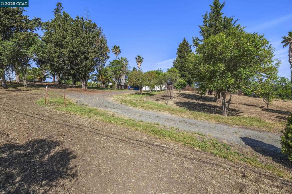 1051 Tilley Cir Property Photo 3