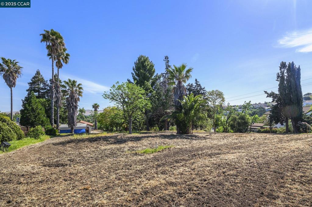 1051 Tilley Cir Property Photo 4