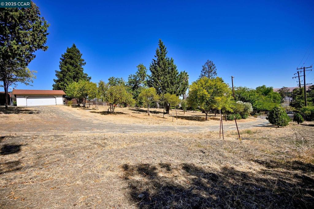 1051 Tilley Cir Property Photo 5