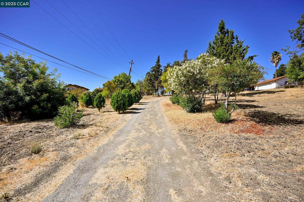 1051 Tilley Cir Property Photo 6