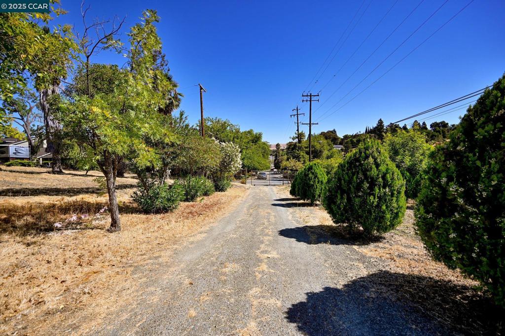 1051 Tilley Cir Property Photo 7