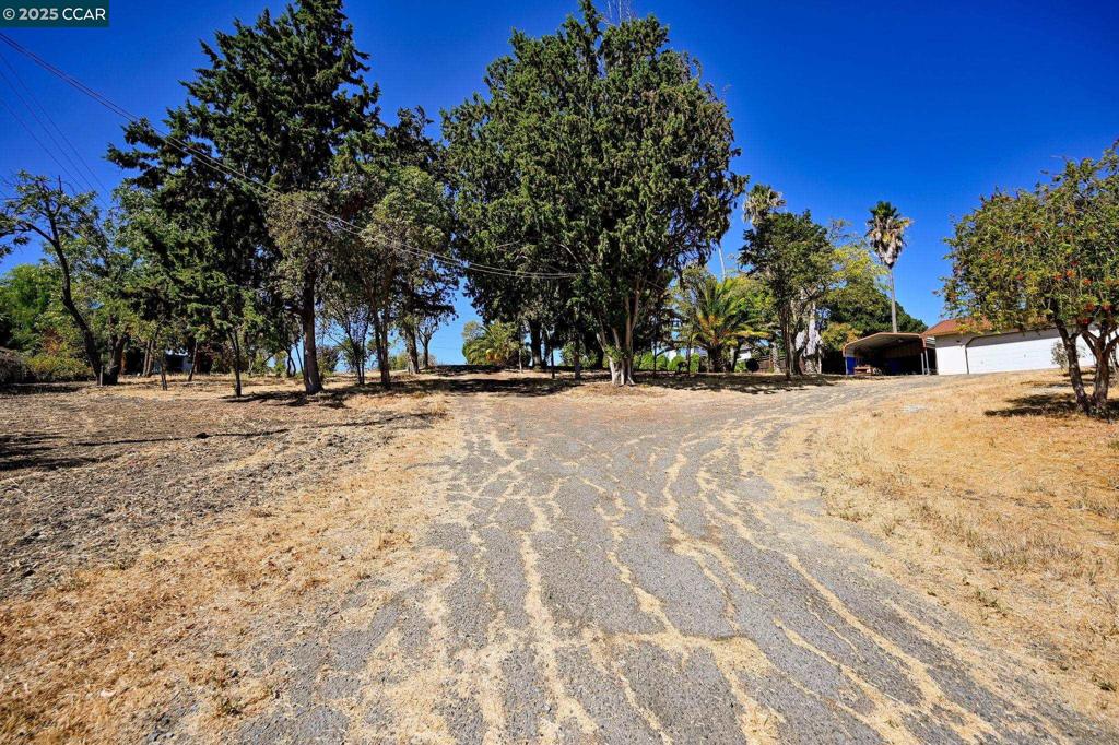 1051 Tilley Cir Property Photo 8