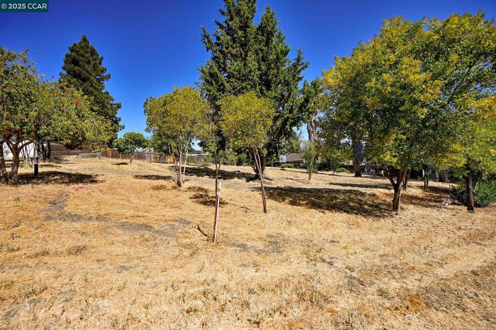 1051 Tilley Cir Property Photo 9
